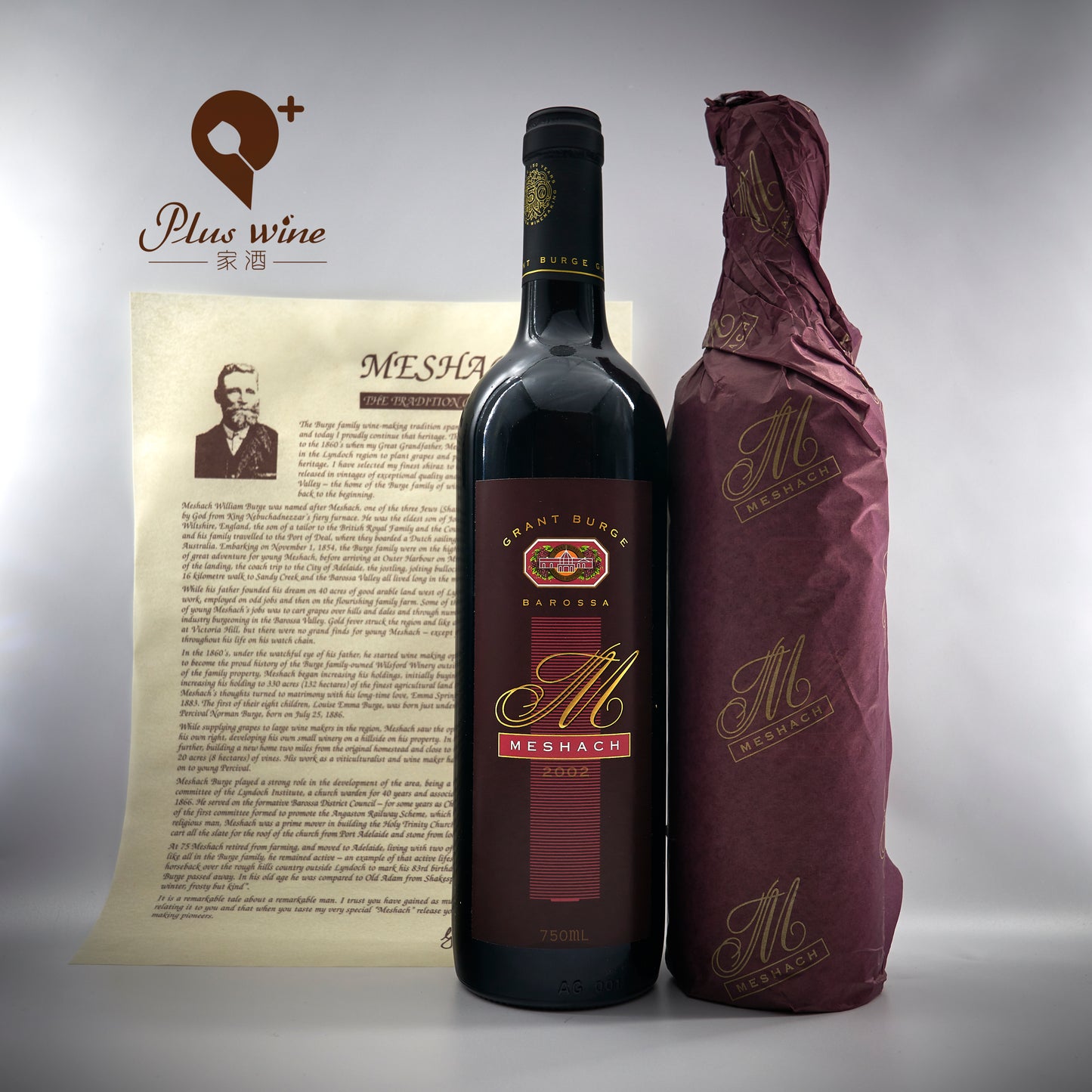 Meshach Shiraz 2002